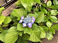img_20210527-201547.jpg