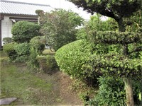 img_20210530-204527.jpg
