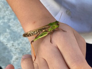 img_20211026-201136.jpg