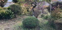 img_20220327-225217.jpg