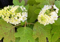 img_20230527-235505.jpg