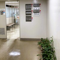 img_20240604-100202.jpg