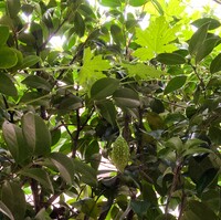 img_20241028-080630.jpg
