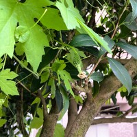 img_20241028-080649.jpg
