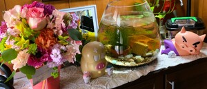 img_20250329-080201.jpg