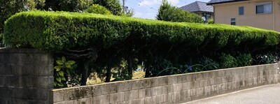img_20250804-075021.jpg