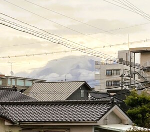 img_20260319-124850.jpg