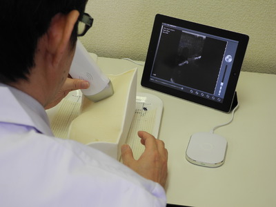 184  ゼロベース・バイオプログレッシブ法の診断と治療＜診断編＞2冊組 ゼロベース・バイオプログレッシブ法の診断と治療＜診断編