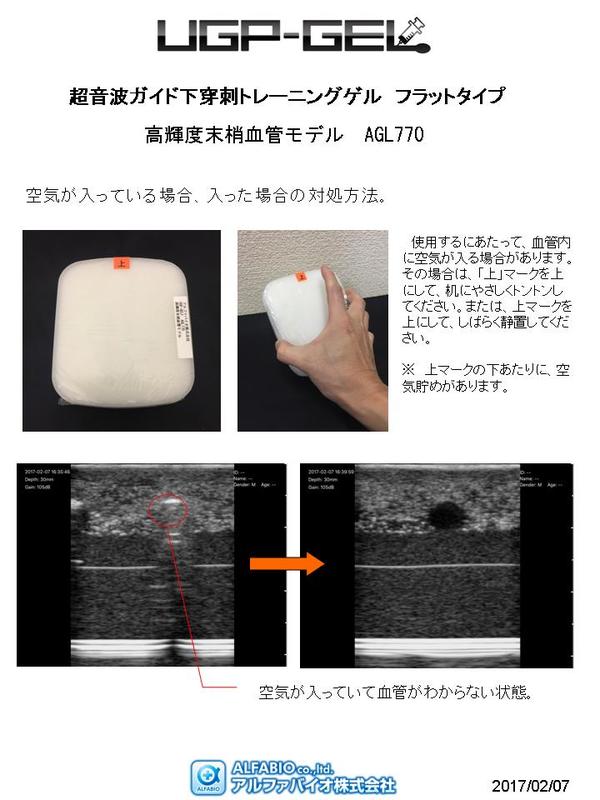 アルファバイオ株式会社 超音波ガイド下穿刺トレーニングでしたら