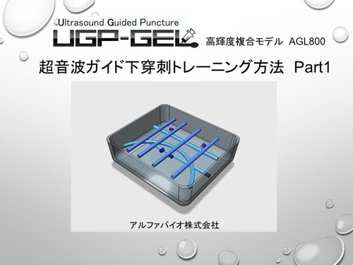 アルファバイオ株式会社 超音波ガイド下穿刺トレーニングでしたらこちらまで アルファバイオ Top