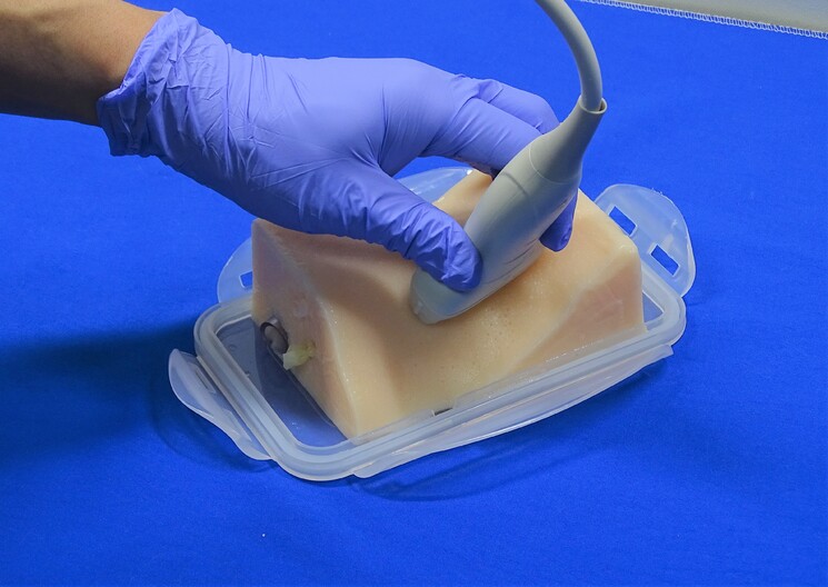 アルファバイオ株式会社 超音波ガイド下穿刺トレーニングでしたら