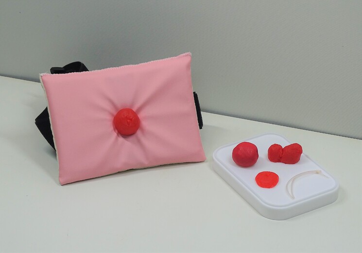 アルファバイオ株式会社 超音波ガイド下穿刺トレーニングでしたら