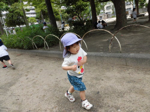 img_20170626-120413.jpg