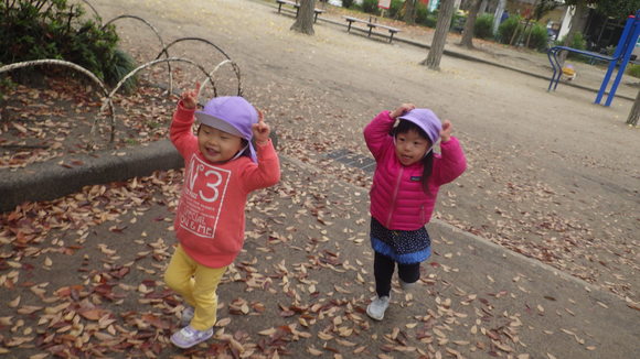 img_20171130-115418.jpg