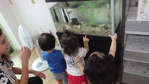 img_20180831-043753.jpg