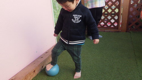 img_20181130-030359.jpg