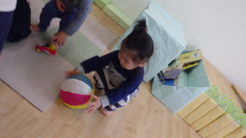img_20190225-043645.jpg
