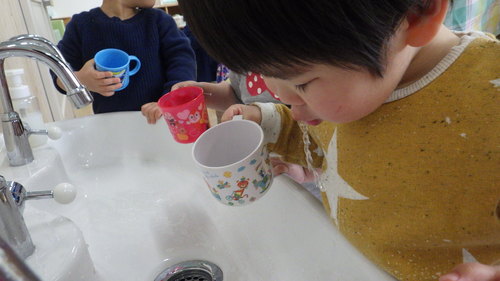 img_20190225-062915.jpg
