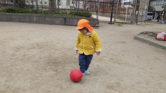 img_20190227-053434.jpg