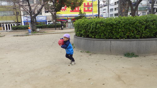 img_20190328-025811.jpg