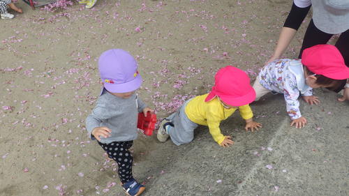 img_20190425-111645.jpg
