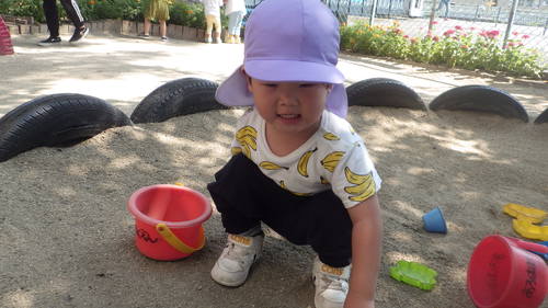 img_20190731-042741.jpg