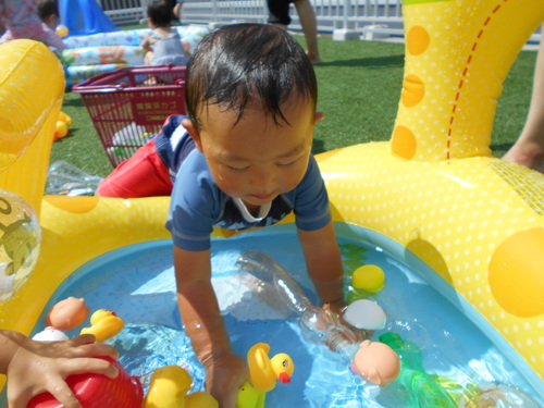 img_20200826-091842.jpg