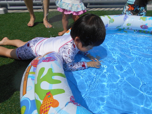 img_20200826-091908.jpg