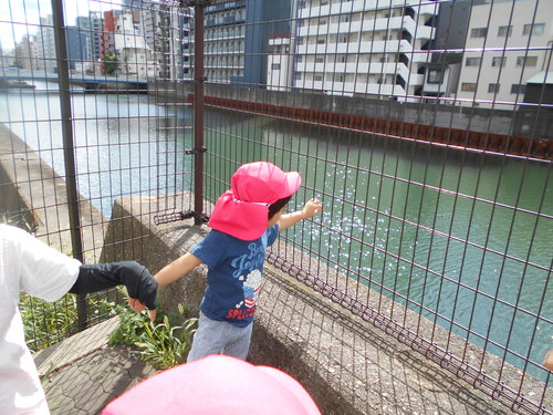 img_20200928-031923.jpg