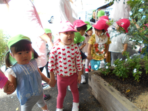 img_20200928-032024.jpg