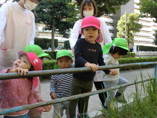 img_20201026-051151.jpg