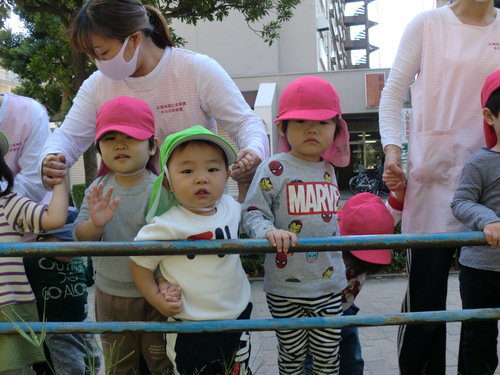 img_20201026-051214.jpg