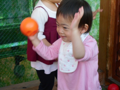 img_20201027-064353.jpg