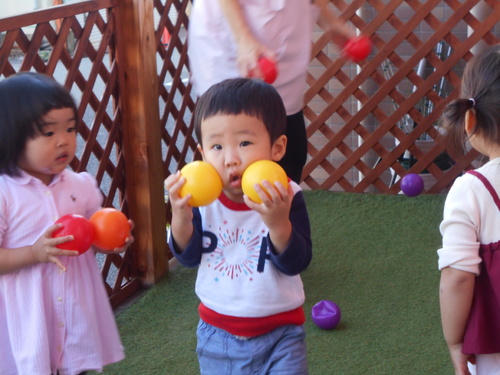 img_20201027-064749.jpg
