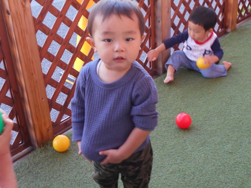 img_20201027-065250.jpg