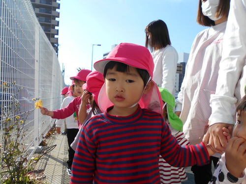 img_20201126-074059.jpg
