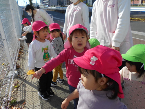 img_20201126-074118.jpg