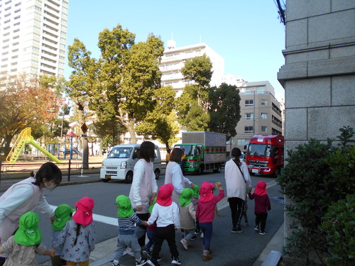 img_20201126-074243.jpg