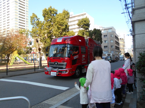 img_20201126-074303.jpg