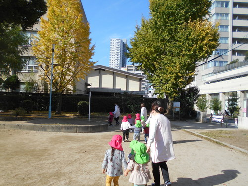 img_20201126-074645.jpg