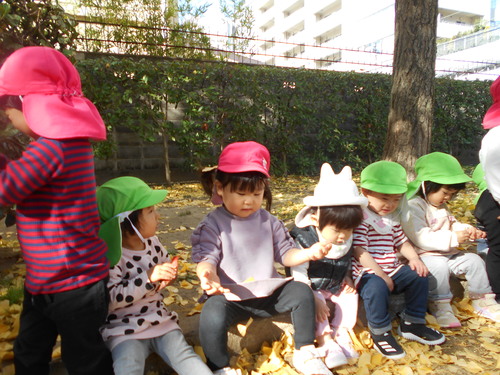 img_20201126-074846.jpg