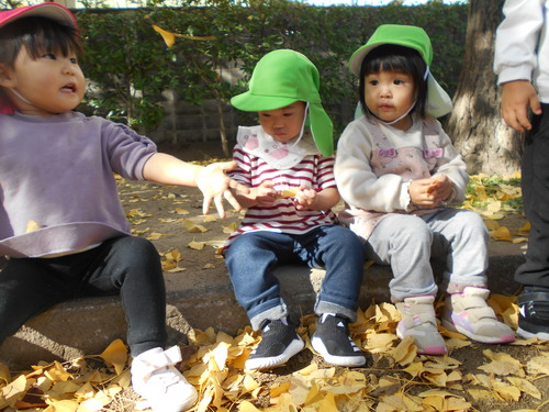 img_20201126-074959.jpg