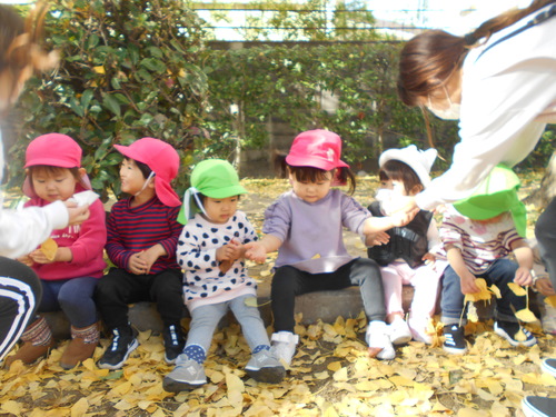 img_20201126-075026.jpg