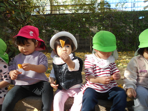 img_20201126-075857.jpg