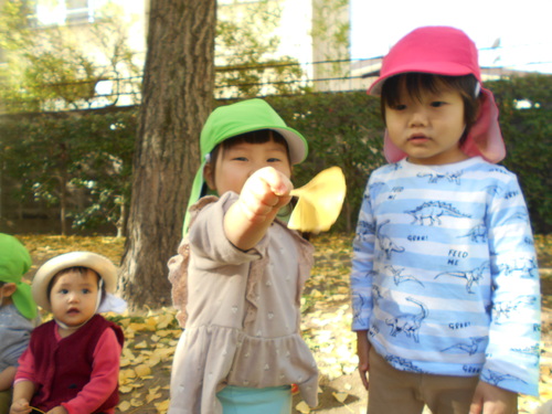 img_20201126-075926.jpg