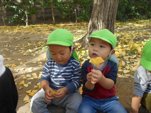 img_20201126-075940.jpg
