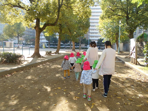 img_20201126-080121.jpg