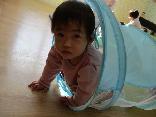 img_20201130-053503.jpg