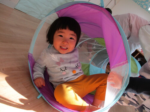 img_20201130-053514.jpg