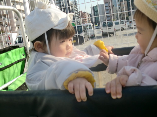 img_20201222-083938.jpg